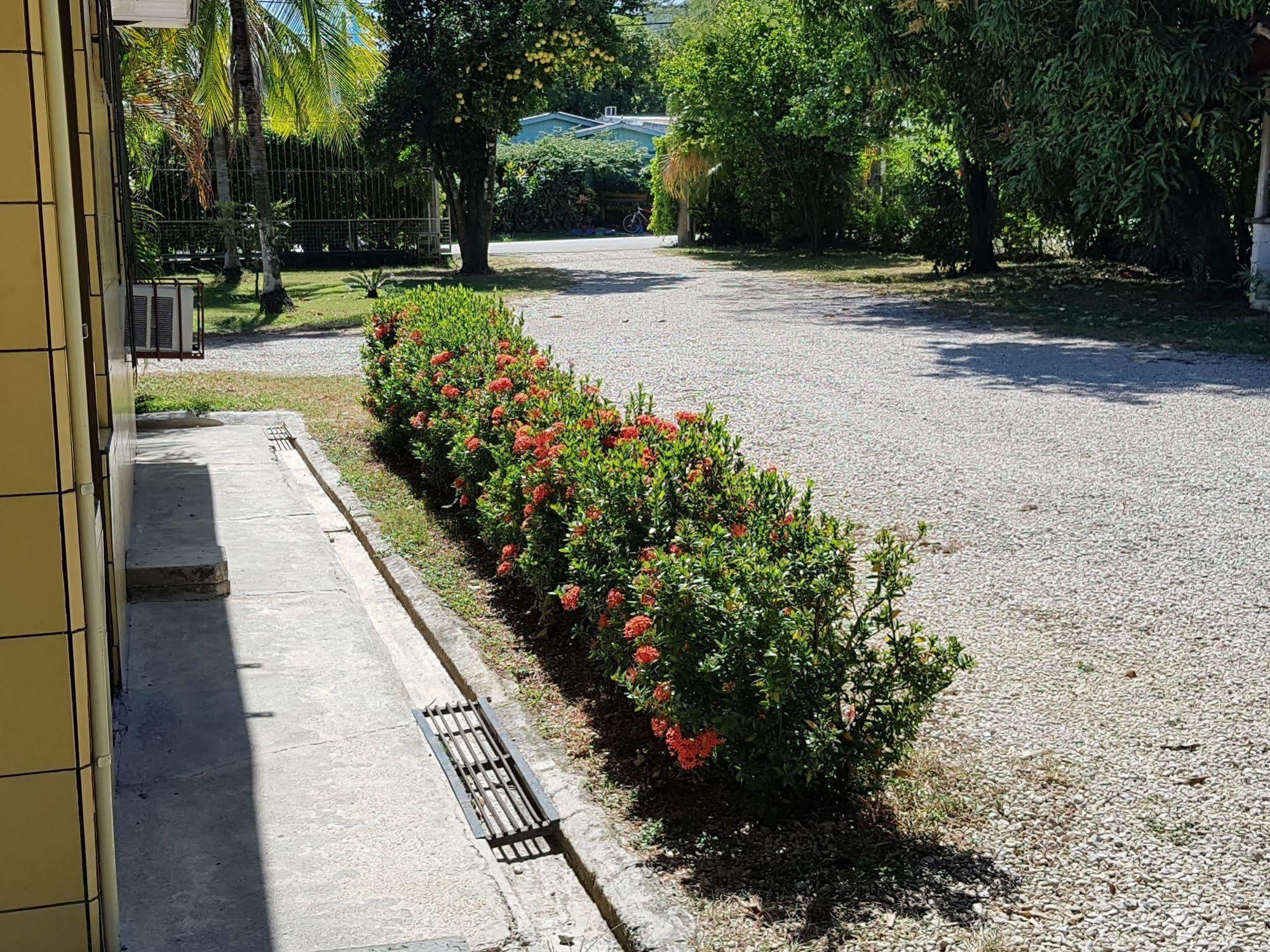 Hotel Nicoya Kültér fotó